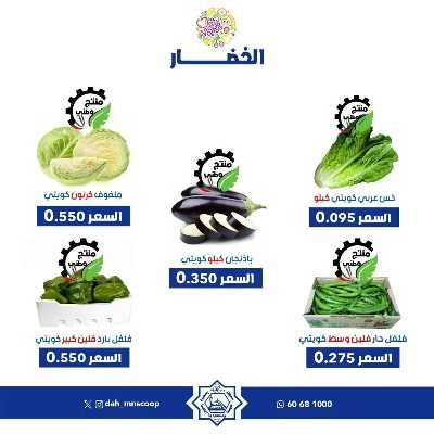 عروض الاحد من جمعية الضاحية والمنصورية   5